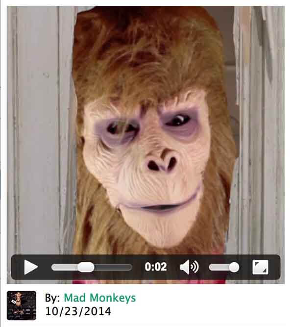 Vine Mad Monkeys Consulting
